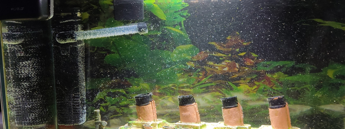 aquarium Aquarium salon