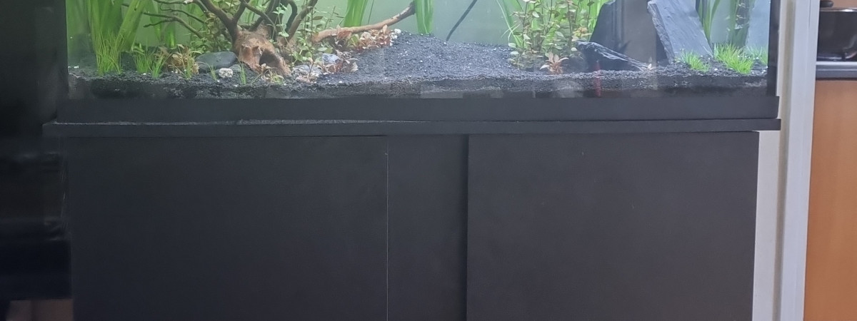 aquarium Aq