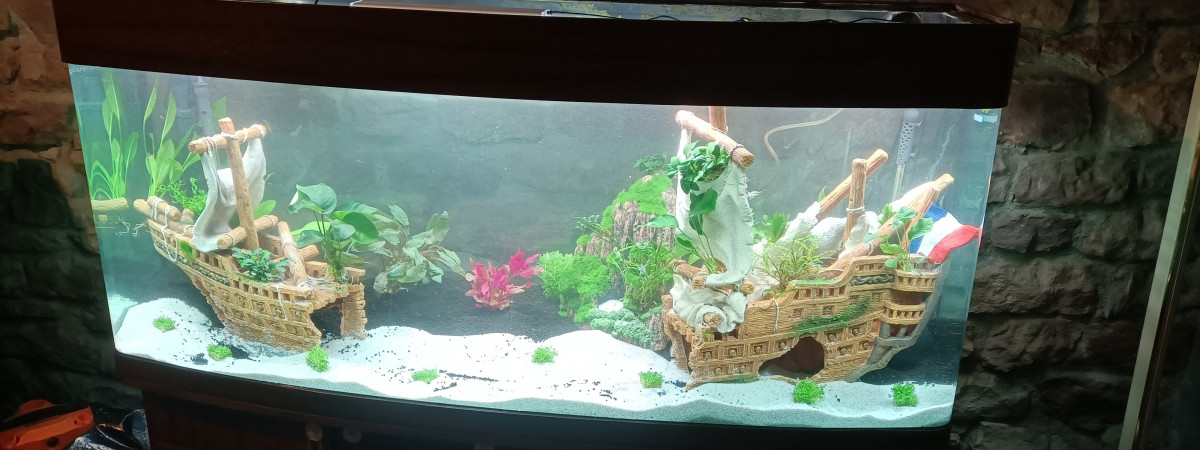 aquarium Aquarium 500 litres