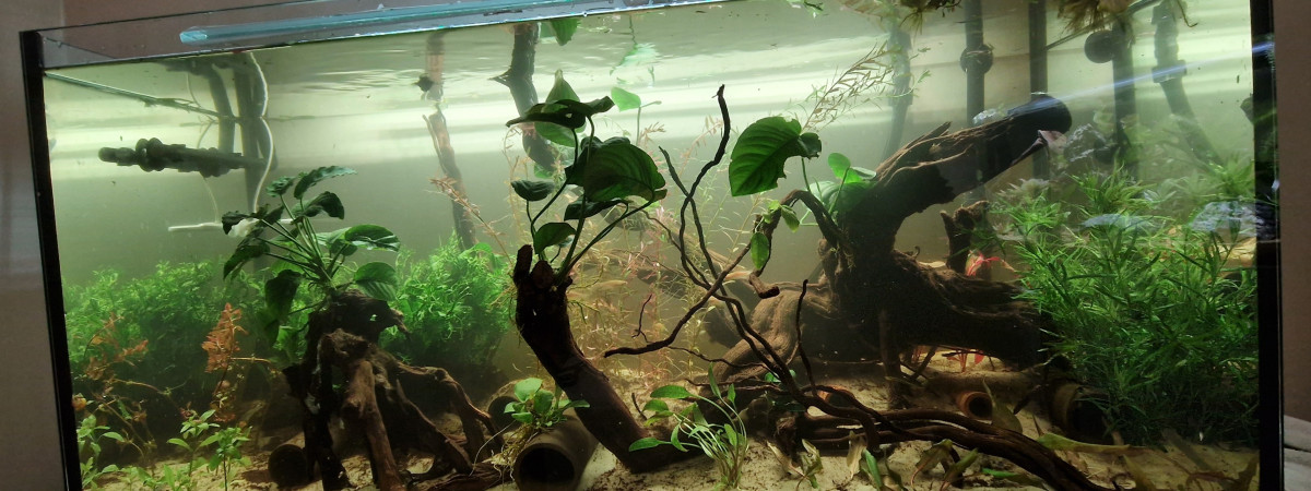 aquarium Aquarium 200 Litres