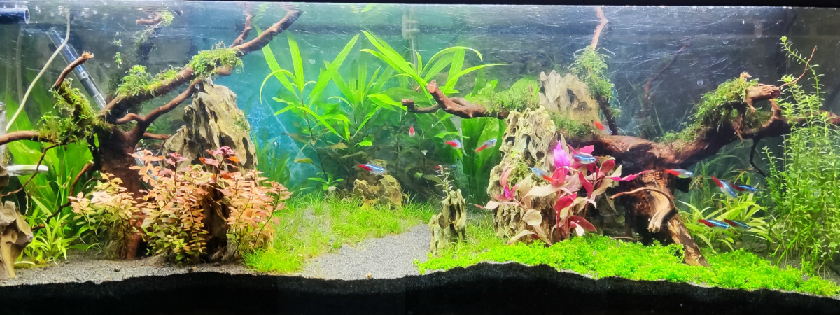 aquarium 2.0