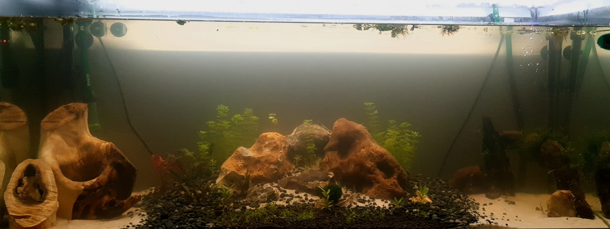 aquarium Eheim 240