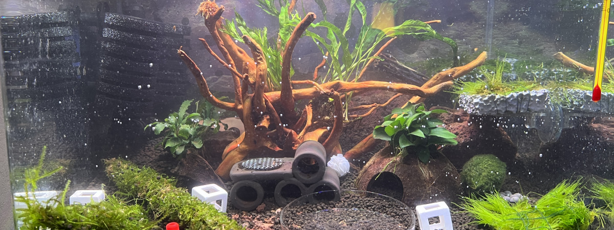 aquarium GG1