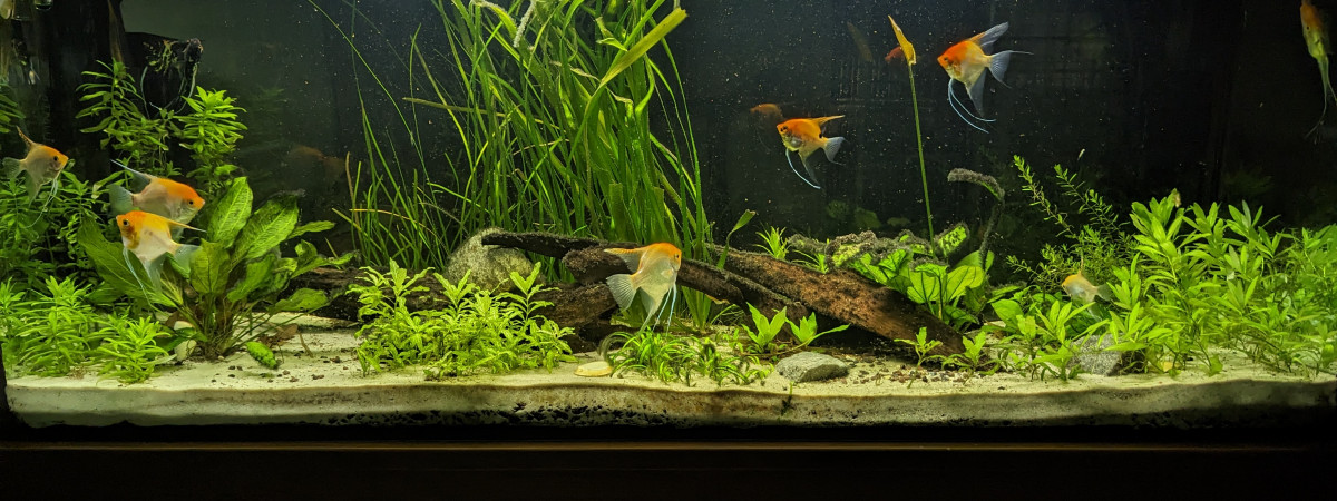 aquarium Aquarium 500L