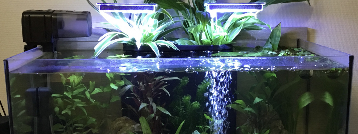 aquarium EAU DOUCE ZOLUX IDRO 60