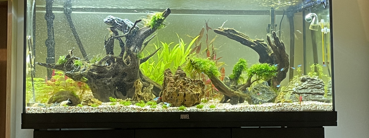 aquarium Max 180l