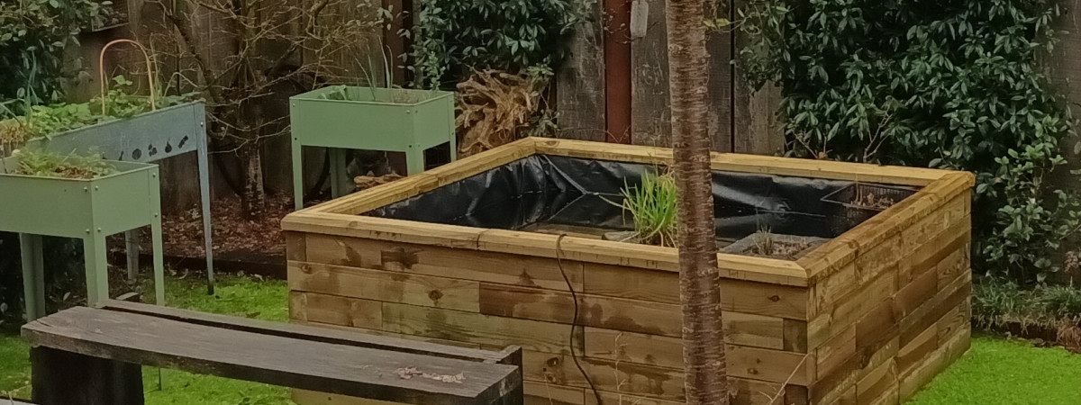 aquarium Bassin extérieur