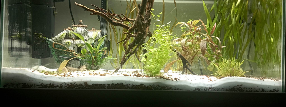 aquarium Aquarium 60L