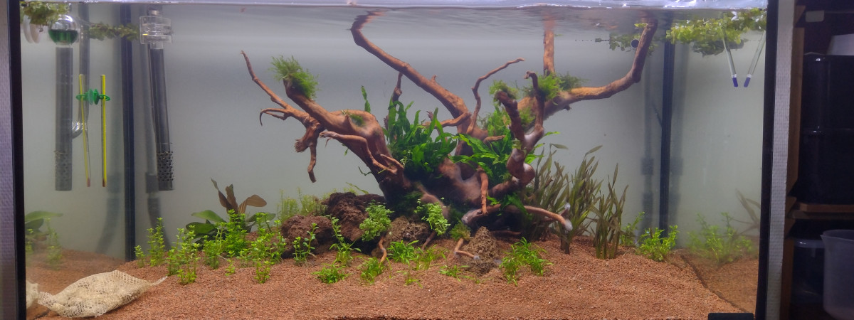 aquarium 120L