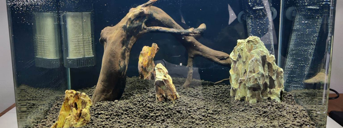 aquarium Nano asiatique 35 L
