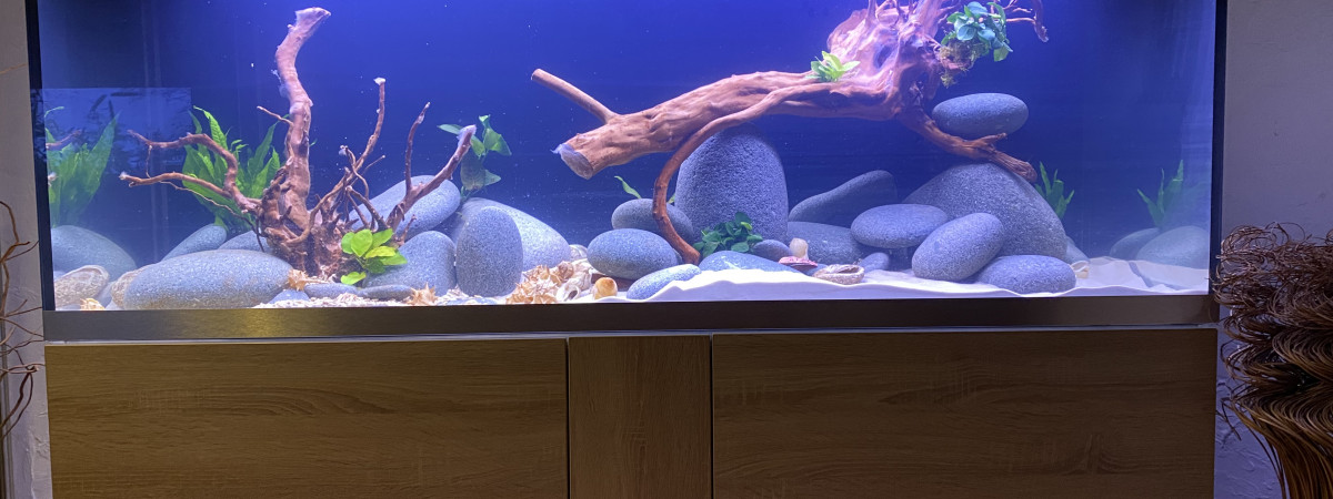 aquarium Aqua83