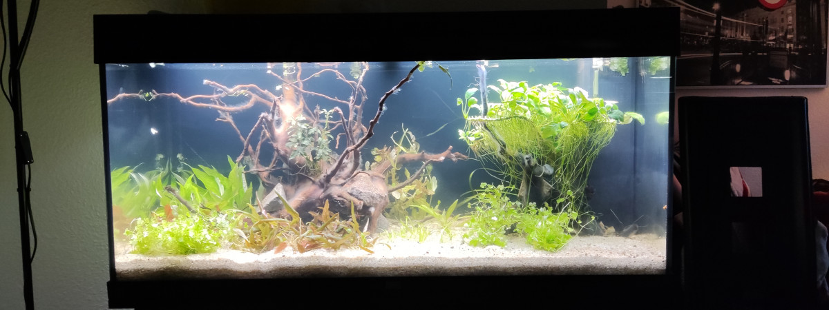 aquarium 180l