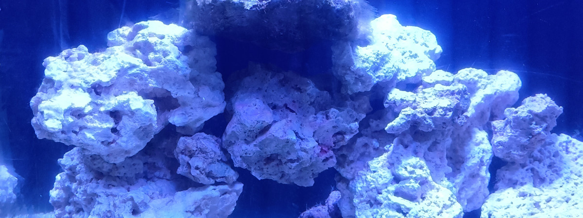 aquarium Mon Marin