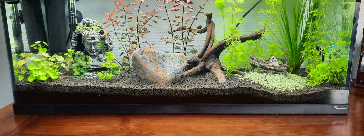 aquarium Macana