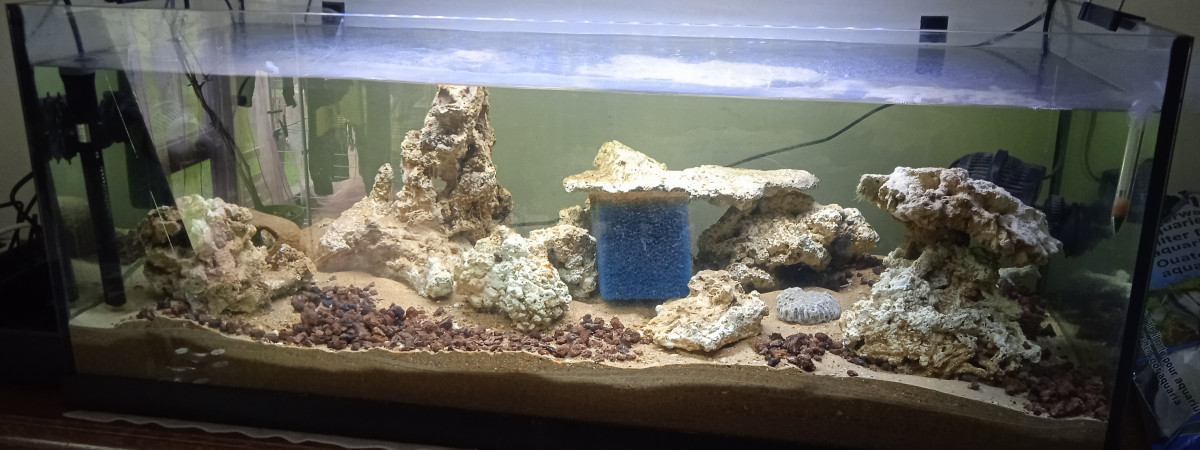 aquarium Récifal 1