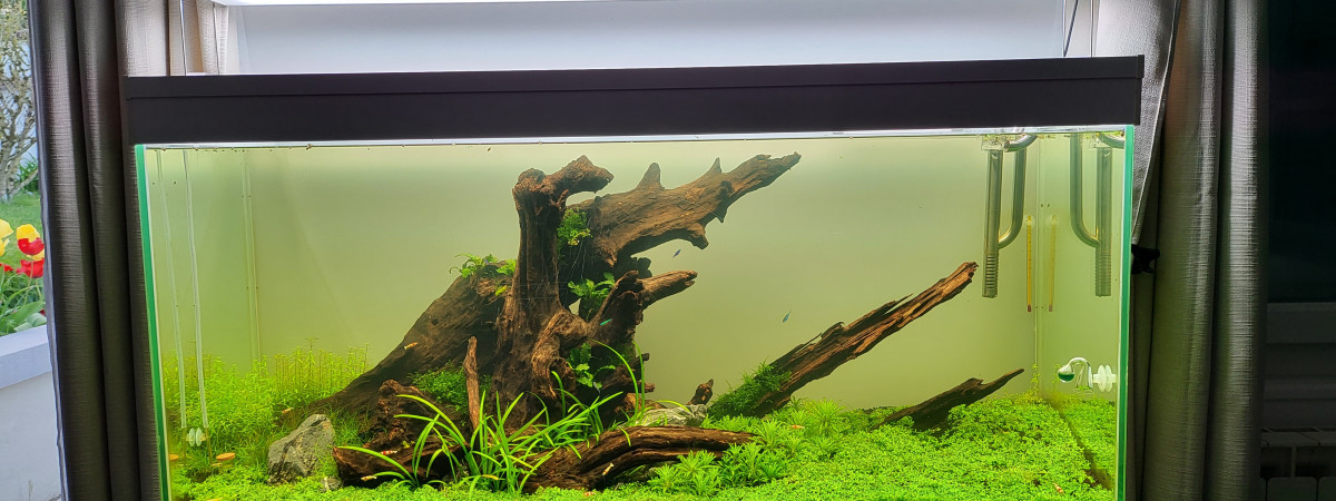 aquarium CIANO 240L