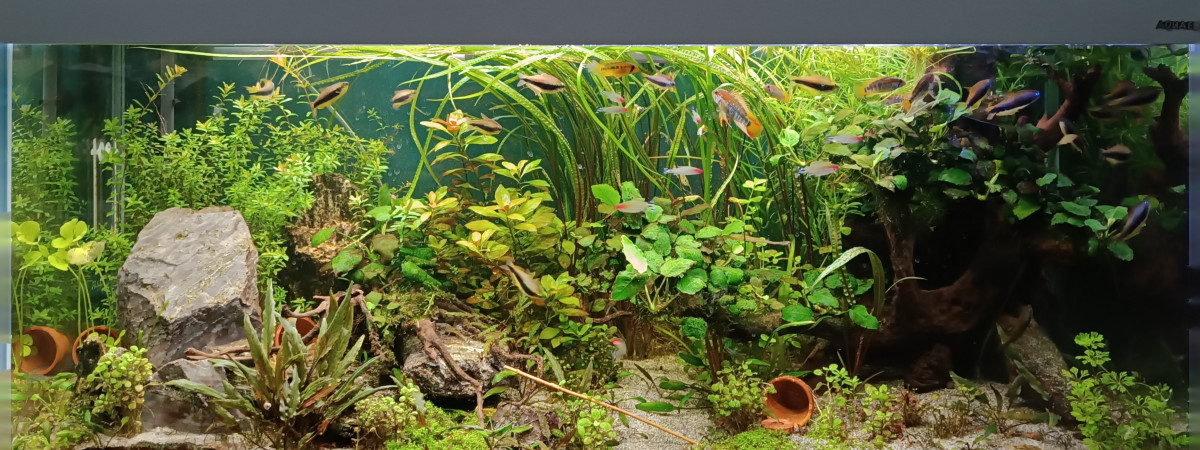 aquarium Columbia