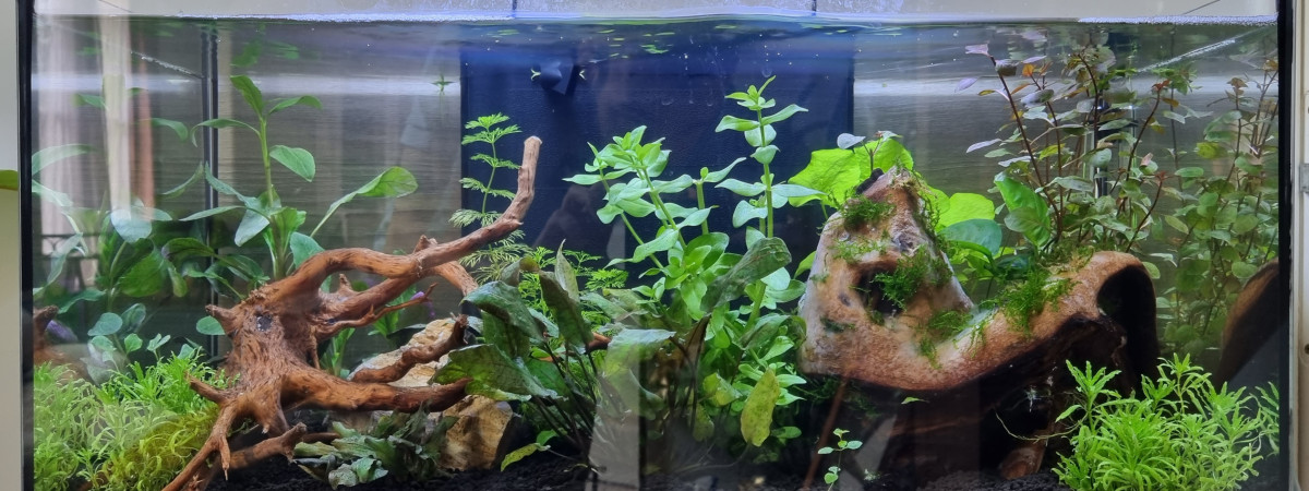 aquarium Zoolux IDRO 60 54L
