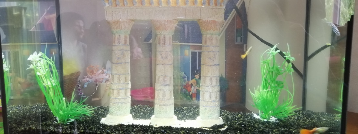 aquarium Aqualys