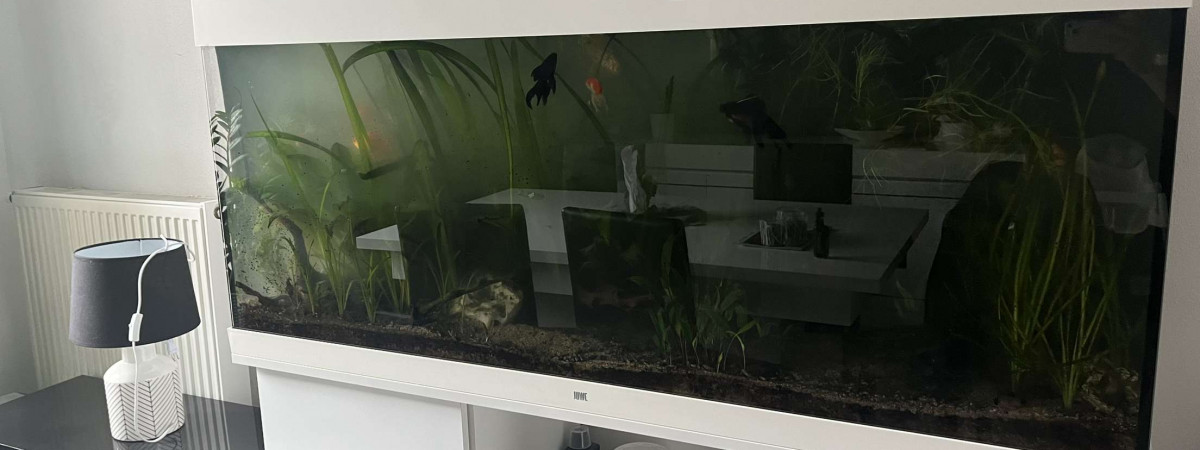 aquarium Juwel 450l