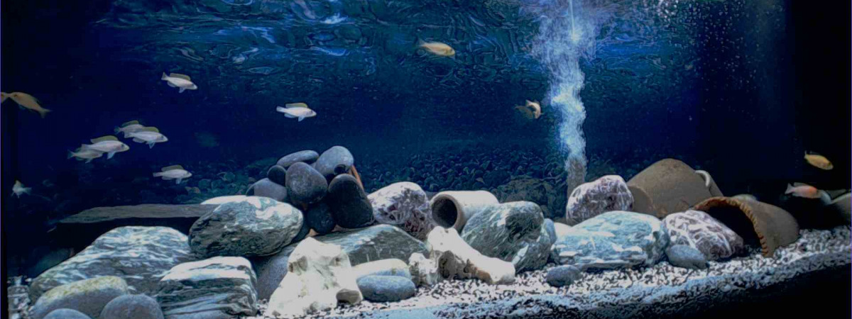 aquarium Mon 240 litres