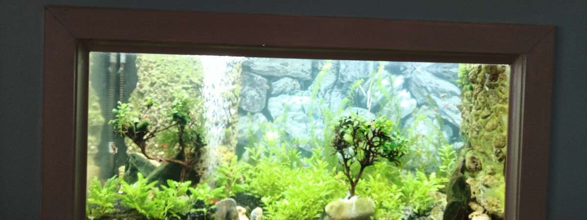 aquarium Encastré dans cloison 200l