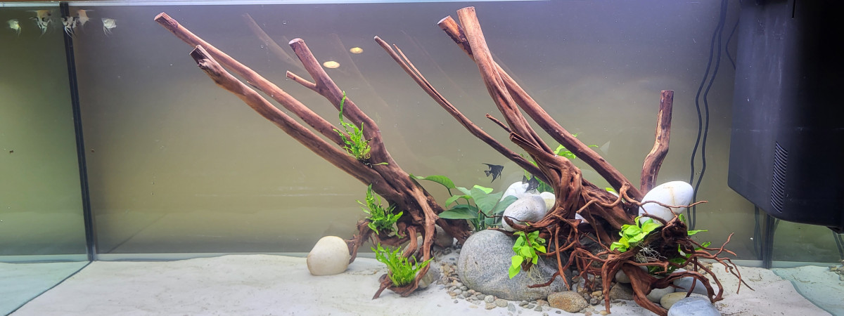 aquarium Le grand rio
