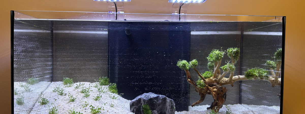 aquarium Aquarium communautaire 60 litres