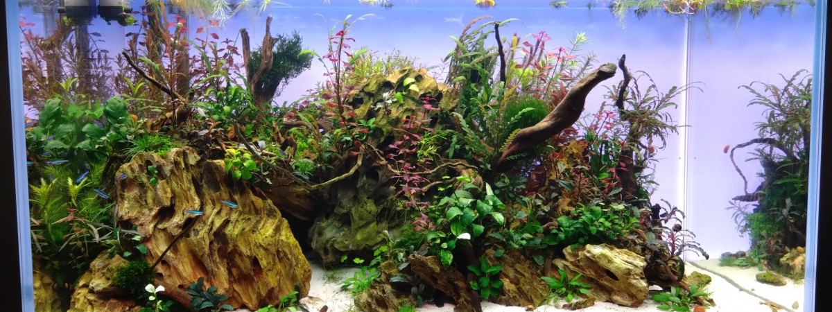 aquarium Second easy