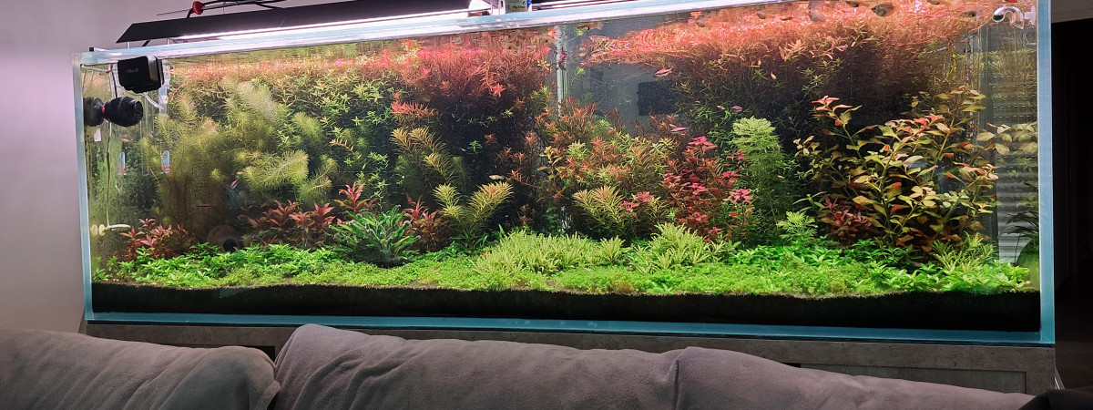 aquarium Aqua850