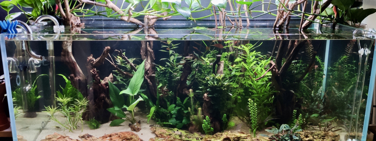 aquarium Communautaire V2.0