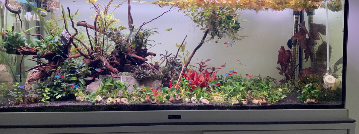 aquarium 160 litres
