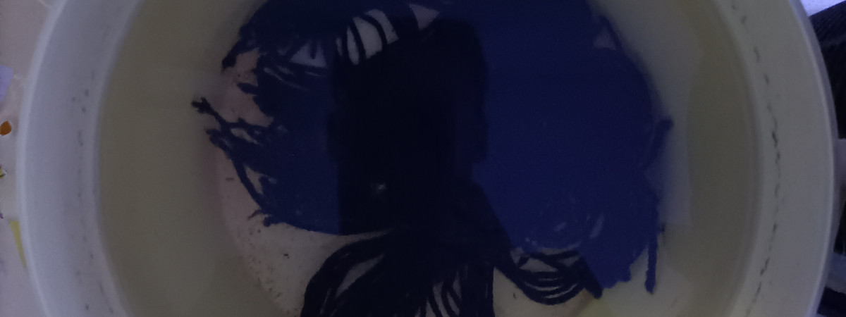 aquarium Seau 004