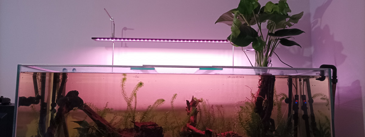 aquarium 500L