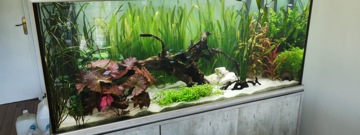 aquarium Aquarium 350l