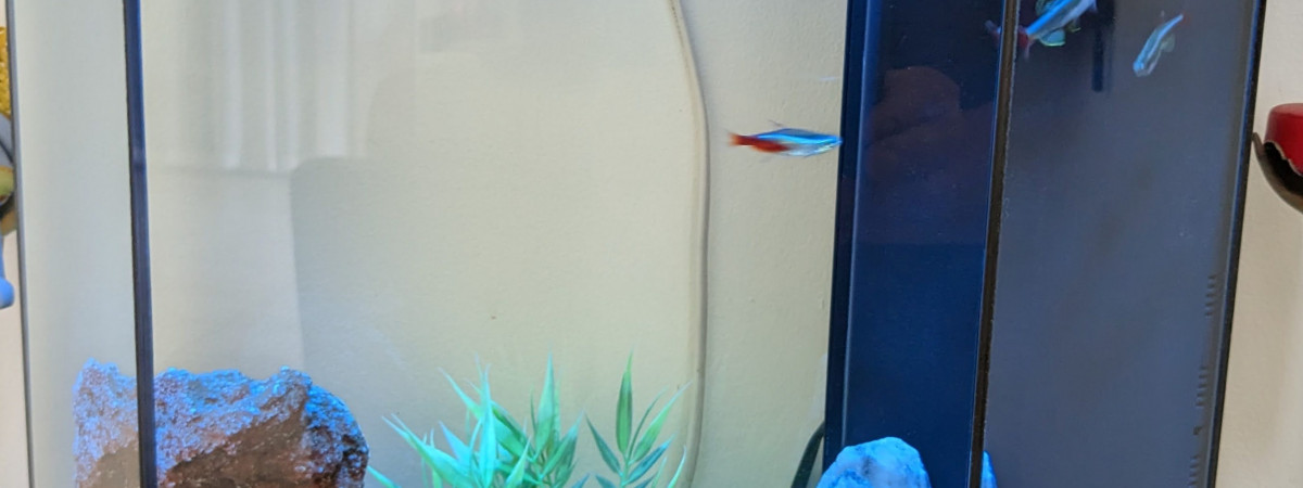 aquarium 30 L