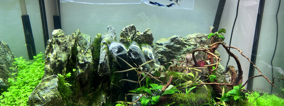 aquarium Kert 200