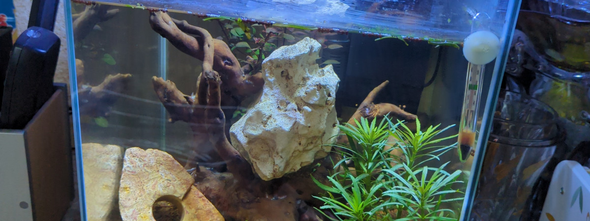 aquarium Jaylay XXL