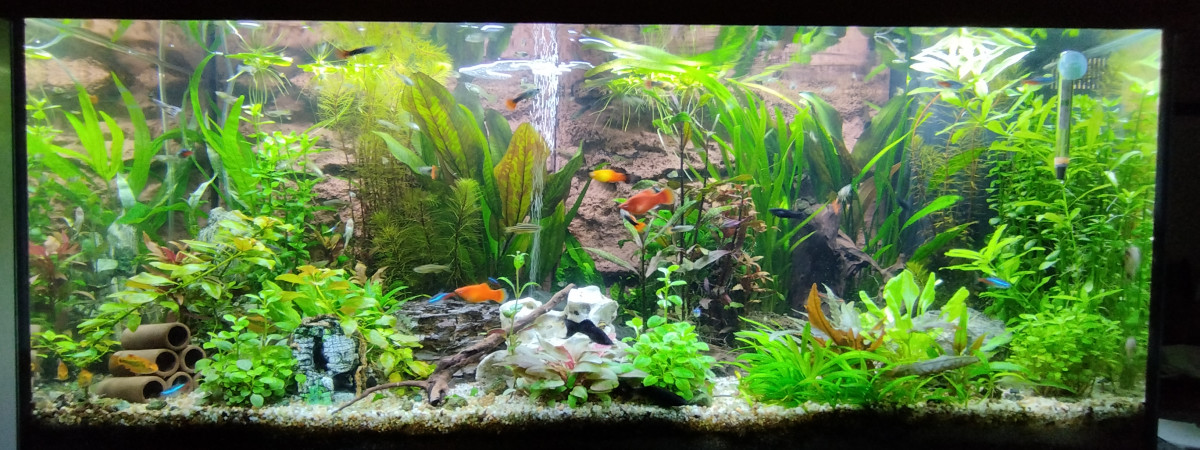 aquarium Rio 180