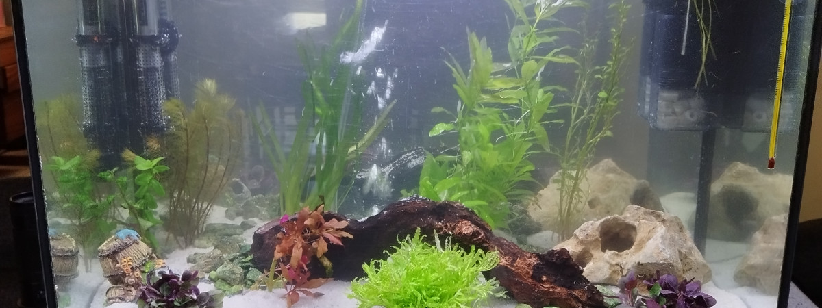 aquarium RENA 80