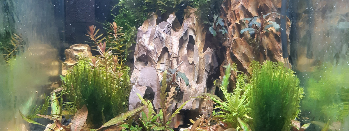 aquarium nano30