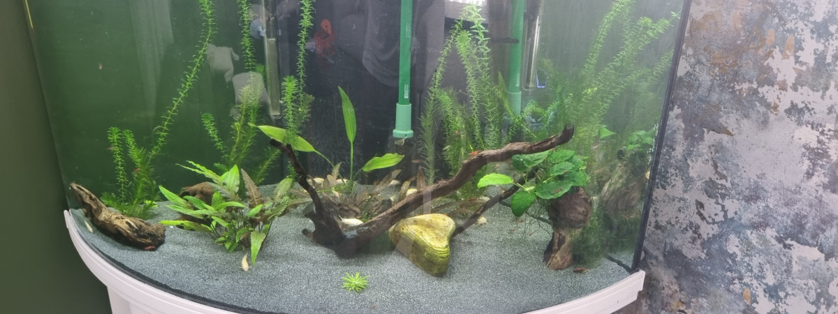 aquarium Angles
