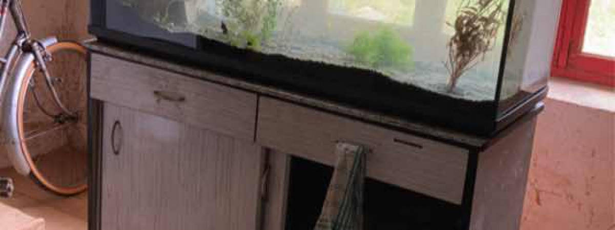 aquarium Eté 2023