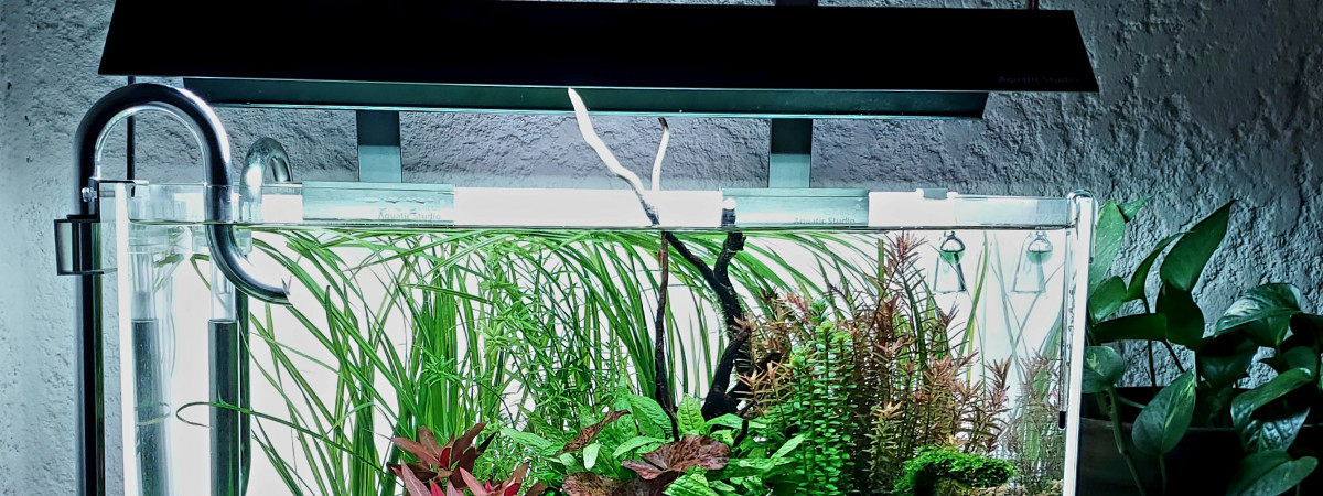 aquarium 60L CC