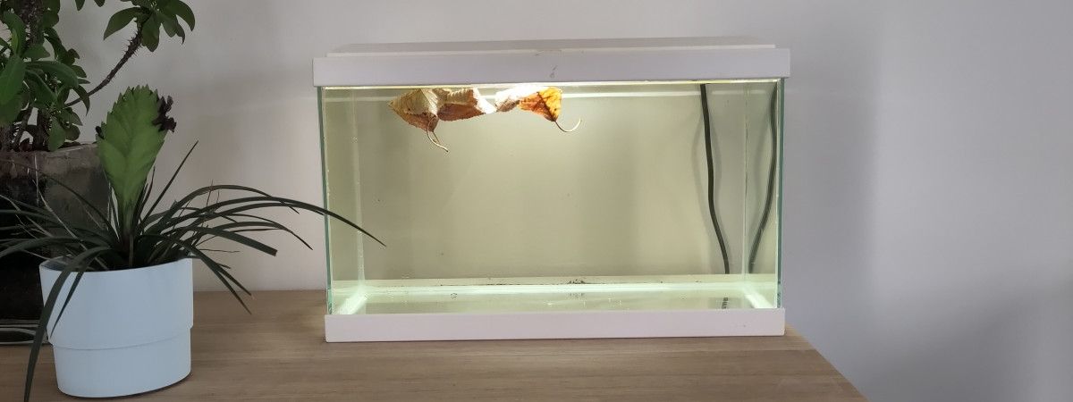 aquarium Petit 20L