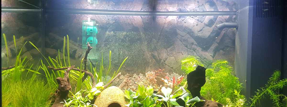 aquarium Juwel 125