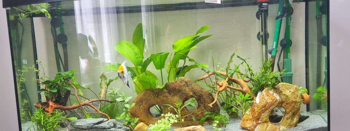 aquarium Juwel 180 Vision