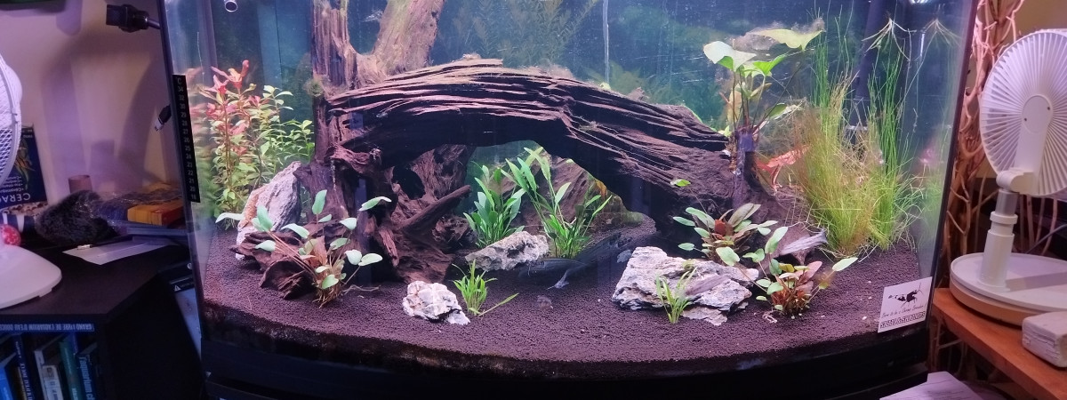 aquarium 120litres