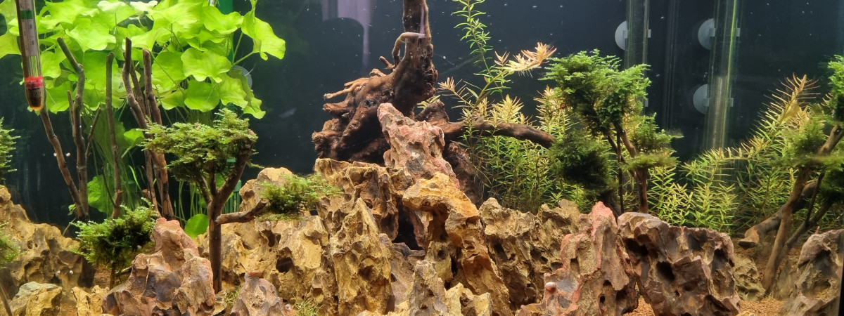 aquarium Eheim vivaline 150