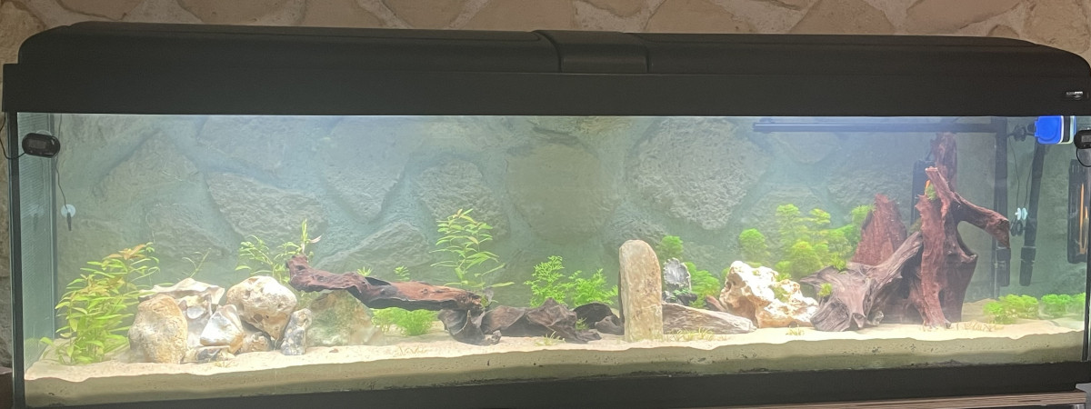 aquarium Aqua 500 litres